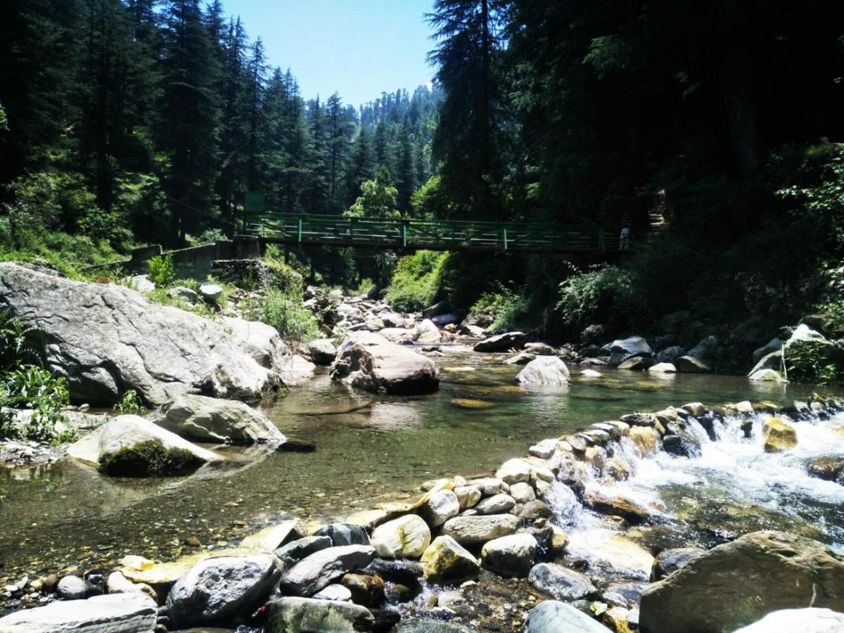 The Himalayan Heaven Apartment Jibhi Bagian luar foto