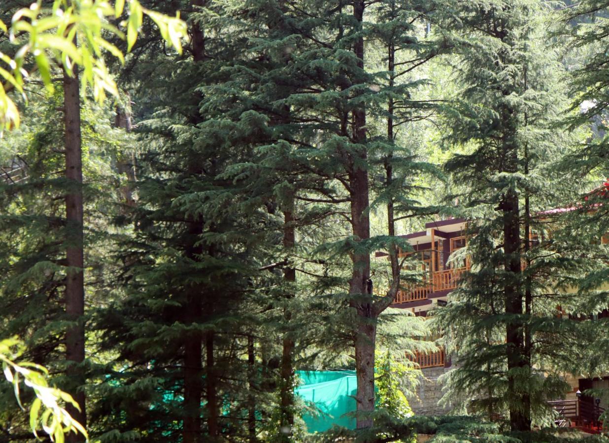 The Himalayan Heaven Apartment Jibhi Bagian luar foto
